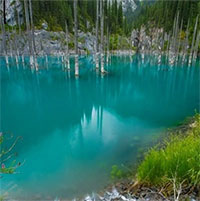 Khu rừng dưới nước tuyệt đẹp ở Kazakhstan  