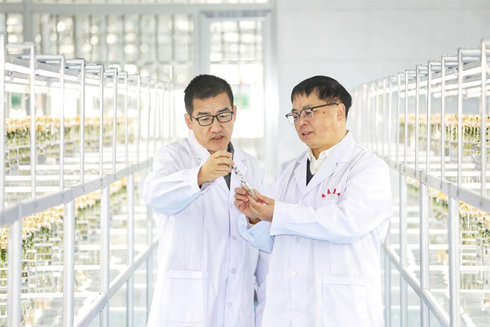 Trung Quốc thử nghiệm giống khoai tây được tàu Thần Châu-16 mang về từ vũ trụ