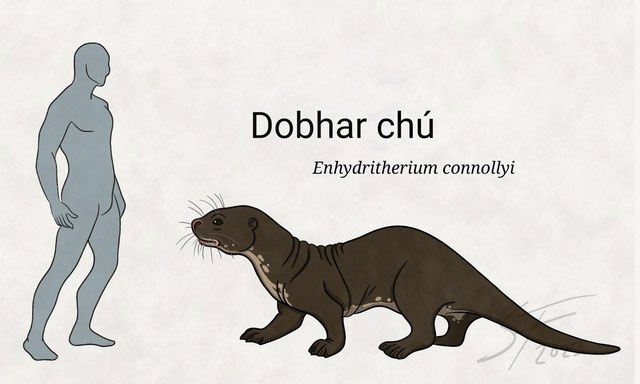 Dobhar-chu - Vua rái cá trong văn hóa dân gian Ireland