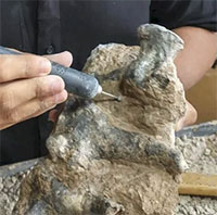 Phát hiện hóa thạch tê tê khủng long nặng 200kg ở Argentina