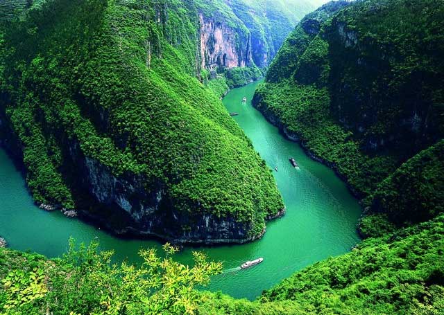 “Cá quái vật” sông Dương Tử: Nặng hơn 600kg, có thể dài tới 8m, 4 người không khiêng nổi
