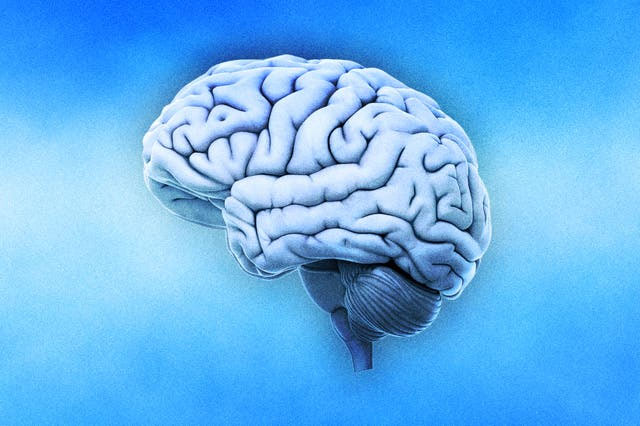 Hội chứng “não tháng Giêng” là có thật: Tháng này não của chúng ta hoạt động có khác biệt so với 11 tháng còn lại trong năm không?