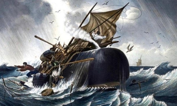 Linh hồn cá voi hung dữ khiến thủy thủ Constantinope khiếp sợ
