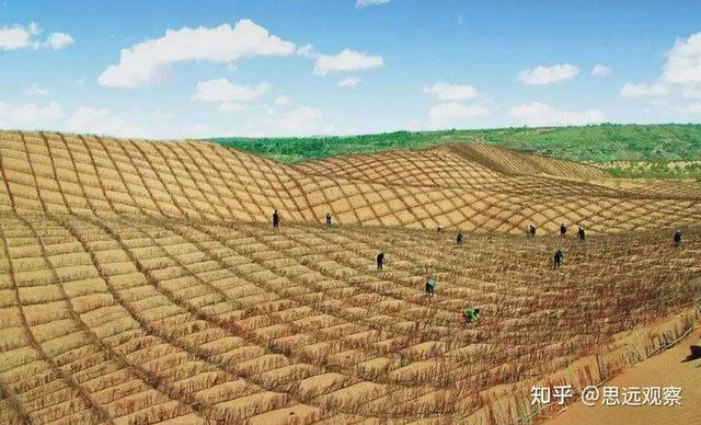 "Quái vật ăn cát" Trung Quốc nuốt chửng 40 mẫu sa mạc mỗi ngày, được ví như cỗ máy in tiền khổng lồ