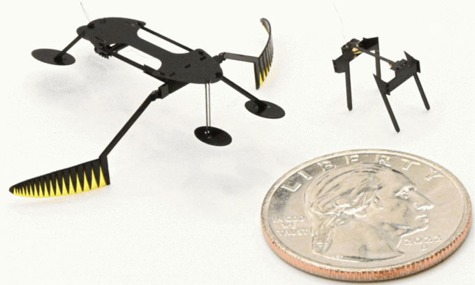 Nhóm nghiên cứu đã phát triển robot côn trùng nhỏ và nhanh kỷ lục