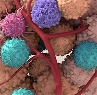 Tế bào ung thư tồn tại và phát triển trong cơ thể chúng ta như thế nào?