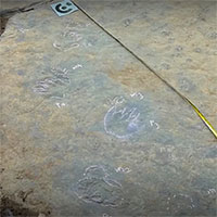 Phát hiện chấn động: Tìm thấy dấu chân khủng long hơn 225 triệu năm tuổi ở Thái Lan