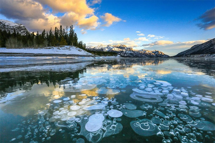 Nguồn gốc của những bong bóng băng này có thể bắt nguồn từ đáy hồ