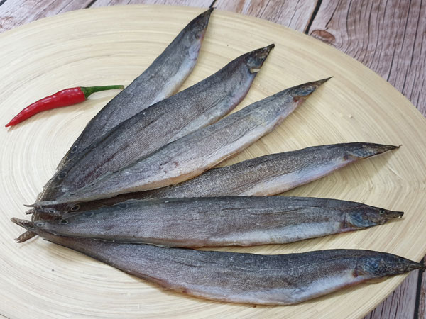 Có loại cá được ví như “nhân sâm dưới nước” rất có ở Việt Nam
