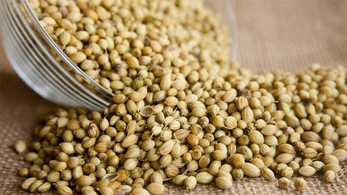 Công dụng tuyệt vời của hạt ngò già – Hạt giúp “thơm da, thơm thịt” mỗi mùa Tết