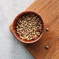 Công dụng tuyệt vời của hạt mùi già - Loại hạt giúp "thơm da, thơm thịt" mỗi mùa Tết về