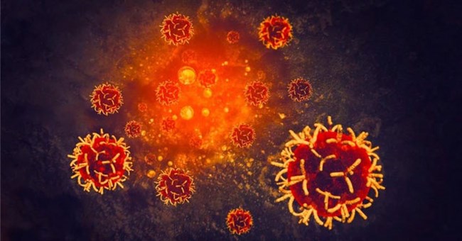 Đột phá trong y học: Dùng canxi tiêu diệt tế bào ung thư