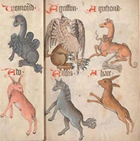 Những sự thật thú vị về việc nuôi chó làm thú cưng vào thời Trung Cổ