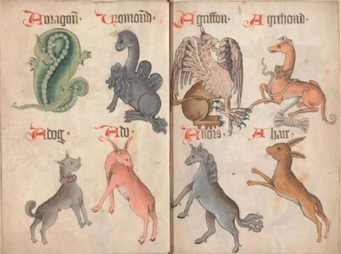 Sự thật thú vị về việc nuôi chó làm thú cưng ở thời Trung cổ