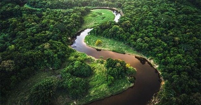 Các nhà khảo cổ tìm thấy một nền văn minh cổ đại dưới tán rừng Amazon