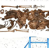Phát hiện thi thể cậu bé hơn 2.000 năm tuổi dưới đầm lầy ở Anh