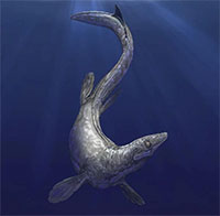Top 5 loài khủng khiếp nhất của "đại dương quái vật" vừa lộ diện trong năm qua