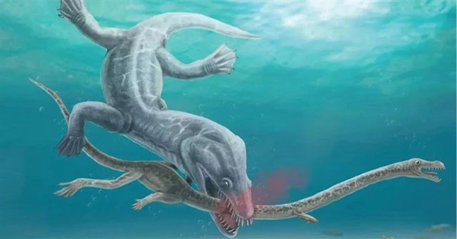 Top 5 loài khủng khiếp nhất của "đại dương quái vật" vừa lộ diện trong năm qua