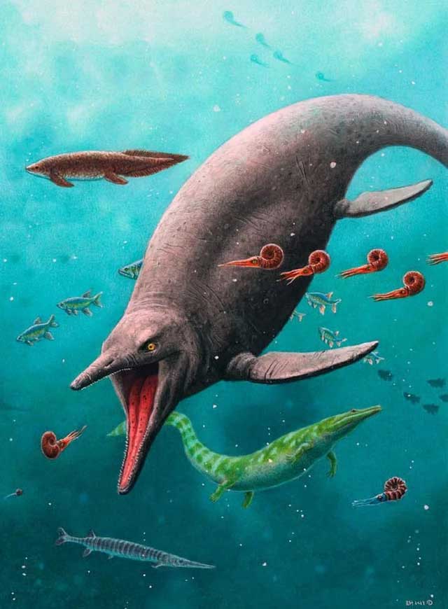Top 5 loài khủng khiếp nhất “đại dương quái vật” vừa xuất hiện trong năm qua