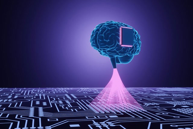 Các nhà khoa học tạo ra một máy tính sinh học lai có thể trở thành nền tảng để nghiên cứu các mẫu não!