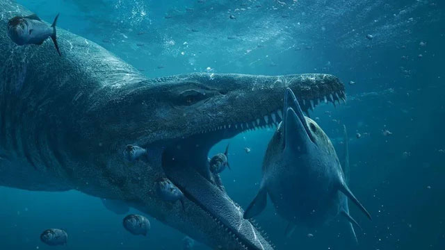 Top 5 loài khủng khiếp nhất “đại dương quái vật” vừa xuất hiện trong năm qua