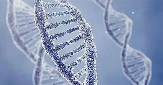 Sự thật đáng sợ về cận huyết: Lời nguyền của gene, tuyến phòng thủ cuối cùng của tự nhiên!