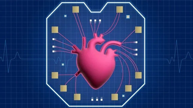 Tiết lộ mới về "trái tim trong chip"