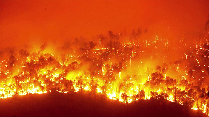 Tại sao rừng ở Mỹ Latinh ngày càng dễ bị cháy?