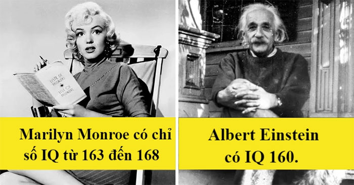 Marilyn Monroe có chỉ số IQ cao hơn Albert Einstein