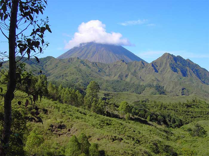 Người cổ đại có thể vẫn còn sống trên đảo Flores của Indonesia