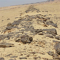 Tìm thấy con đường lát đá cổ xưa nhất thế giới