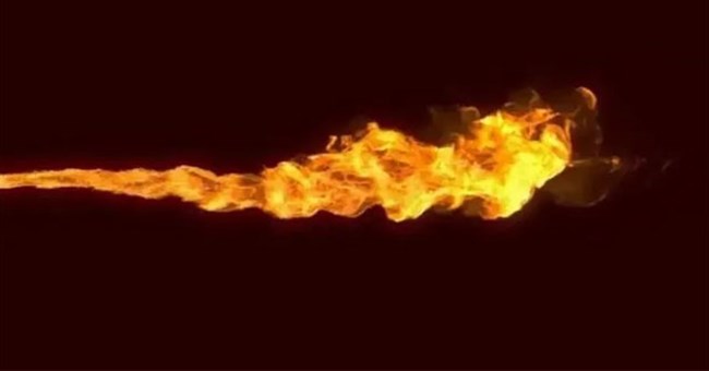 Tại sao không động vật nào trên Trái đất tiến hóa khả năng thở ra lửa?