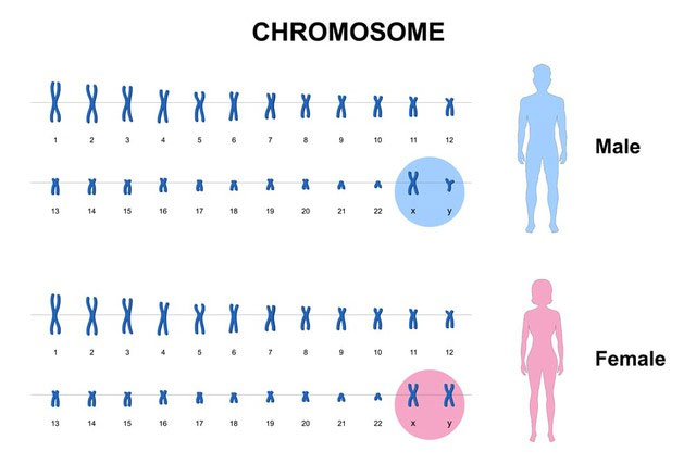Hội chứng siêu nhân Superman Syndrome có thật sự biến một người bình thường thành siêu nhân?