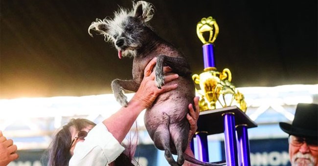 Top 10 cuộc thi kỳ lạ nhất thế giới