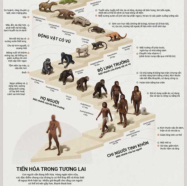 Hành trình tiến hóa 4 tỷ năm của loài người từ tế bào nguyên sinh đến người tinh khôn
