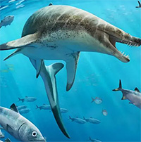 Xuất hiện loài mới: Bò sát biển "ác mộng" dài tới 8m
