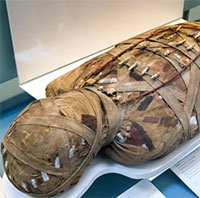 Xác ướp chính là nguyên nhân khiến nhiều cư dân Ai Cập cổ đại nhiễm ký sinh trùng