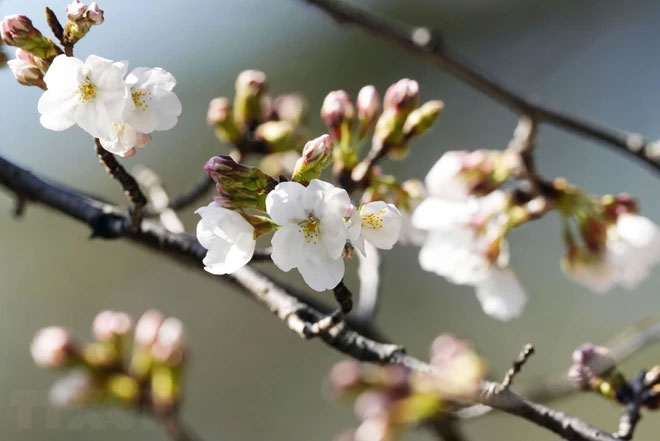 Câu hỏi thú vị: 
