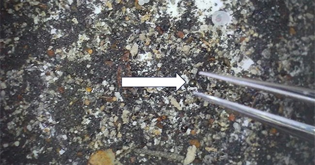 Viên bi sắt 790.000 tuổi là "con lai" của Trái đất và vật thể vũ trụ