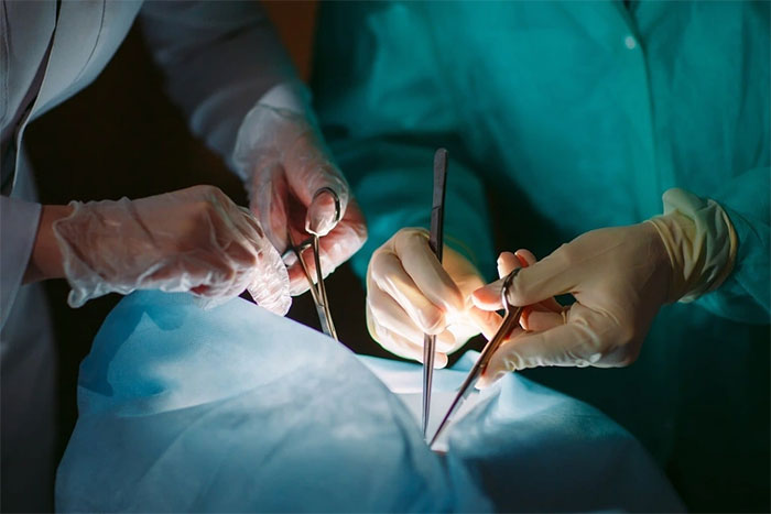 Trung Quốc lần đầu ghép gan lợn được chỉnh sửa gene lên người