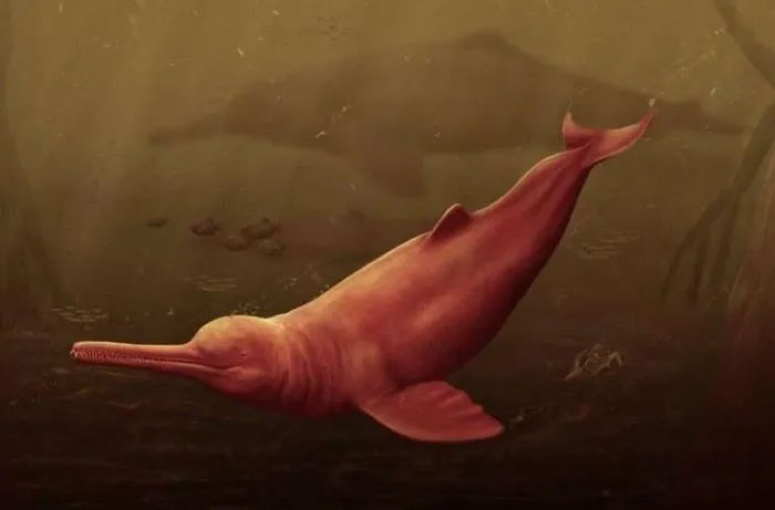Hóa thạch cá heo sông khổng lồ được phát hiện ở Peru
