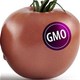 Thực phẩm biến đổi gene có thực sự đáng sợ?