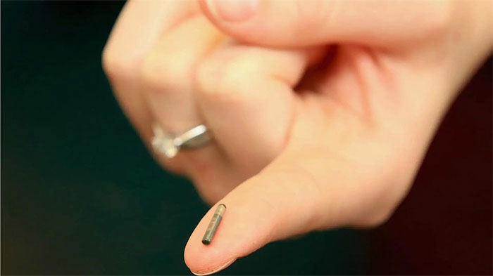 Gắn chip vào chó mèo có tác dụng gì, hoạt động ra sao?