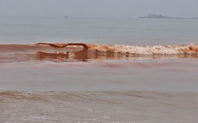 Nước biển ở huyện Cẩm Xuyên, Hà Tĩnh xuất hiện vệt đỏ lạ dài 3km