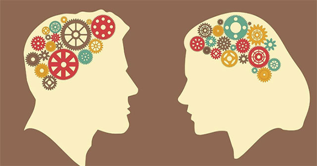 AI có thể phân biệt sự khác biệt giữa bộ não nam và nữ