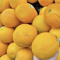 Dùng vitamin C thế nào không hại thận?