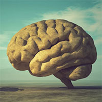 Bộ não ngày càng lớn ảnh hưởng đến sức khỏe con người