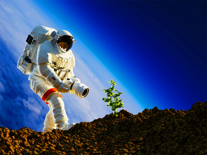 Năm 2026, phi hành gia sẽ mang cây trồng lên Mặt trăng