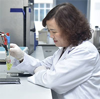 Nữ giáo sư nghiên cứu vật liệu dẫn thuốc tiêu diệt tế bào ung thư