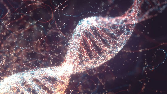 DNA người có thể được tìm thấy trong không khí tại hiện trường gây án
